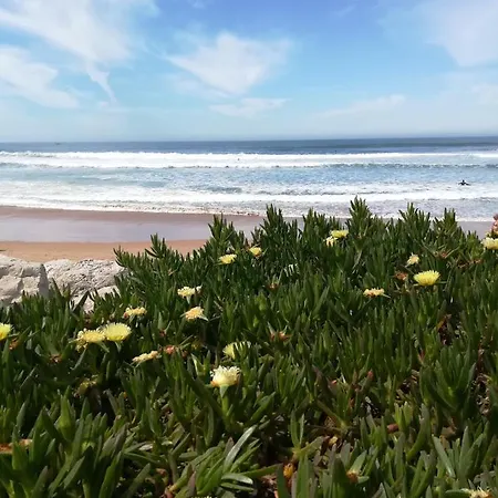 Paula's Beach