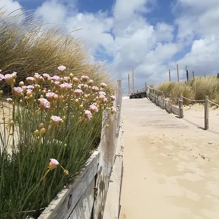Paula's Beach *